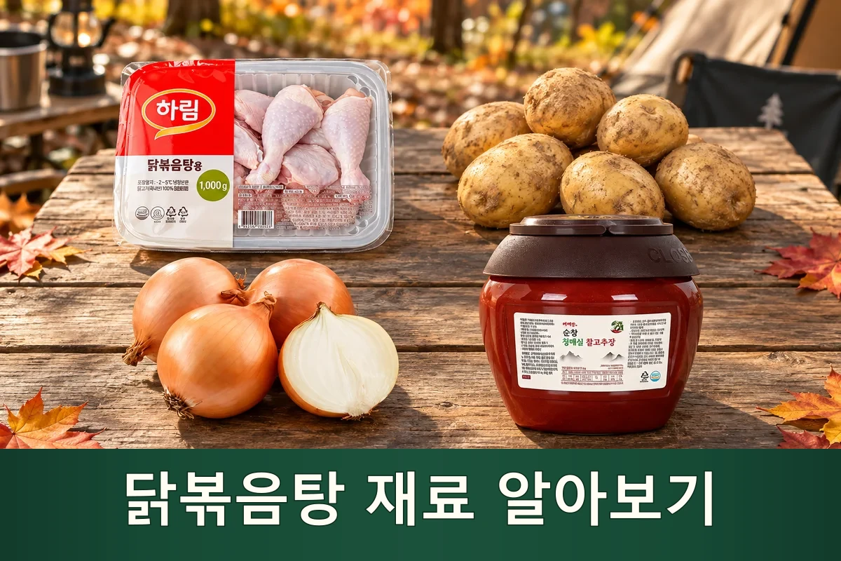 닭볶음탕 주재료를 펼친 가을 캠핑 장보기 장면