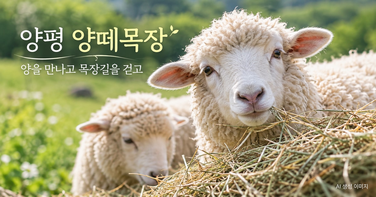 양평 양떼목장 동물 관찰과 체험 여행 안내 AI 생성 이미지